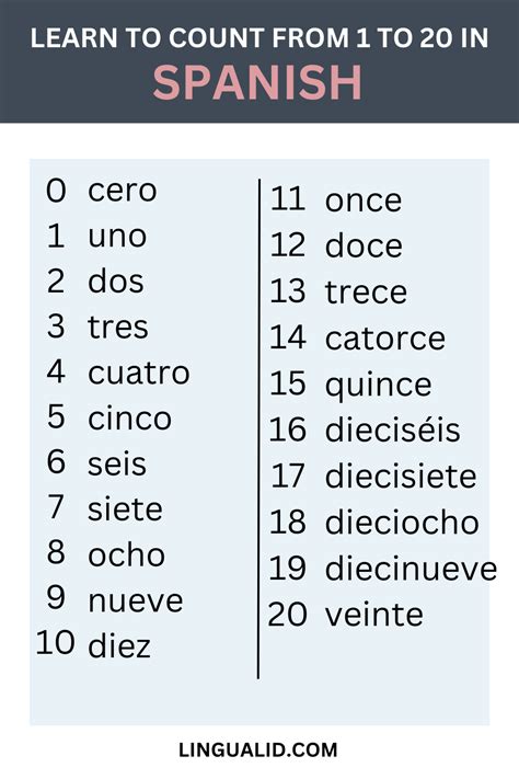 17 in spanish|17 in spanish translation.
